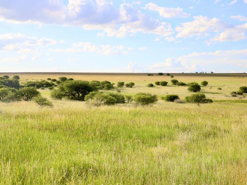 Exceptional Farming Opportunity — 312.0183 ha Grazing Farm with a 4 Bedroom Home, 4 Dams and 8  Boreholes Off the Grid with Solar - Photo 7