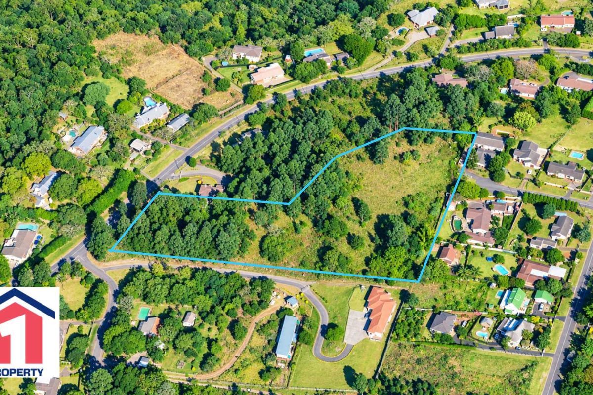 An aerial view of a vacant residential plot featuring established trees and natural vegetation, situated within a developed suburban neighborhood.