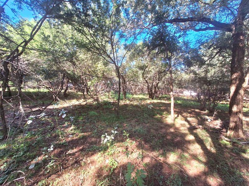 Prime 800m2 Plot in Leeupoort - Tranquil Retreat - Photo 8