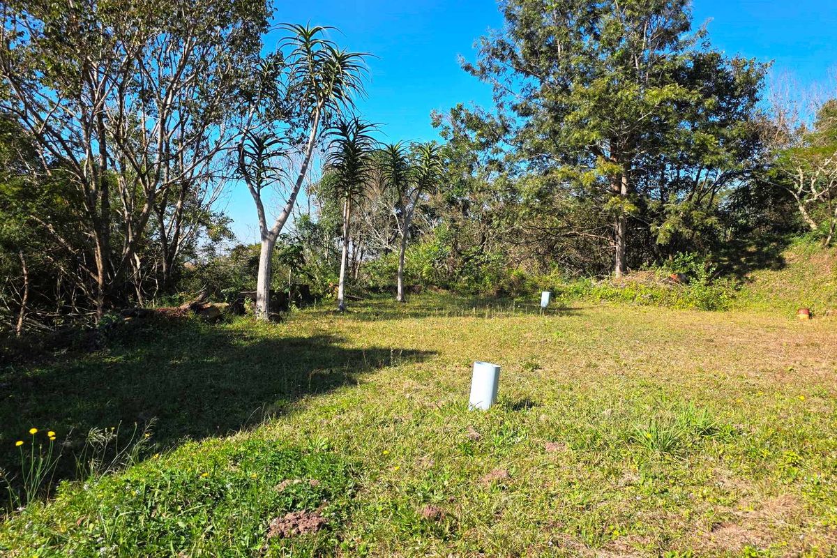 Land for Sale with Spectacular Views over Kloof Gorge - Photo 4