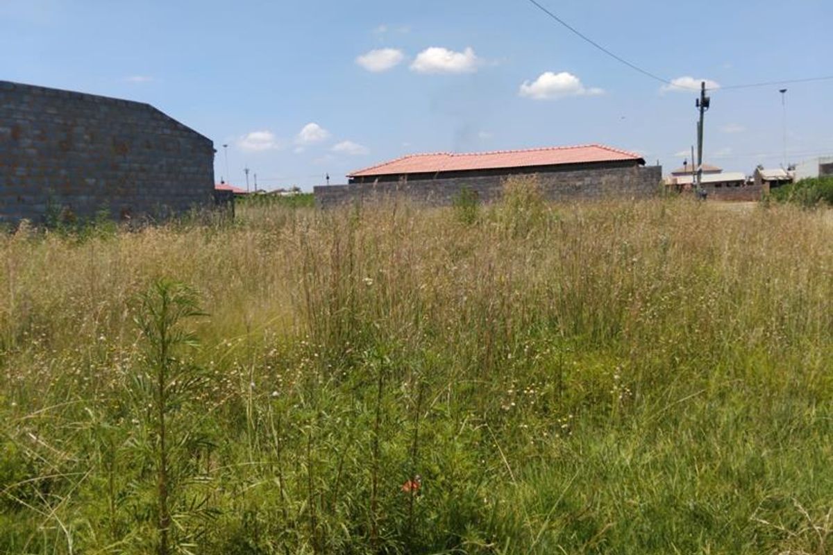 A vacant residential plot featuring overgrown grass, boundary walls, and overhead power lines under a clear blue sky.