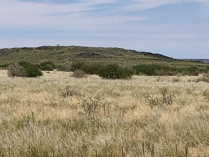 BEAUTIFULL FARM FOR SALE IN THE SOUTH OF NAMIBIA – PERENNIAL FOUNTAIN - Photo 3