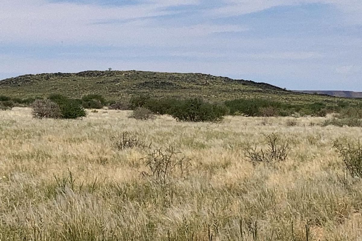 BEAUTIFULL FARM FOR SALE IN THE SOUTH OF NAMIBIA – PERENNIAL FOUNTAIN - Photo 3