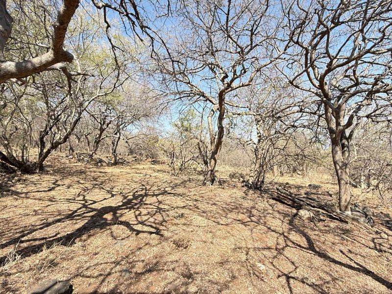 Discover Eco-Living at Elephant Rock Eco Estate – Vacant Land Now Available - Photo 10