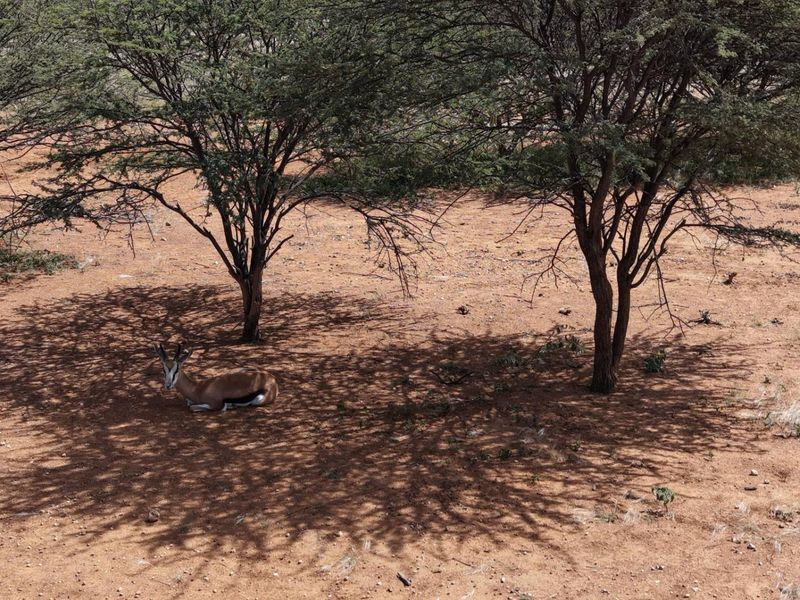 Farm for sale | Outjo District - Photo 7
