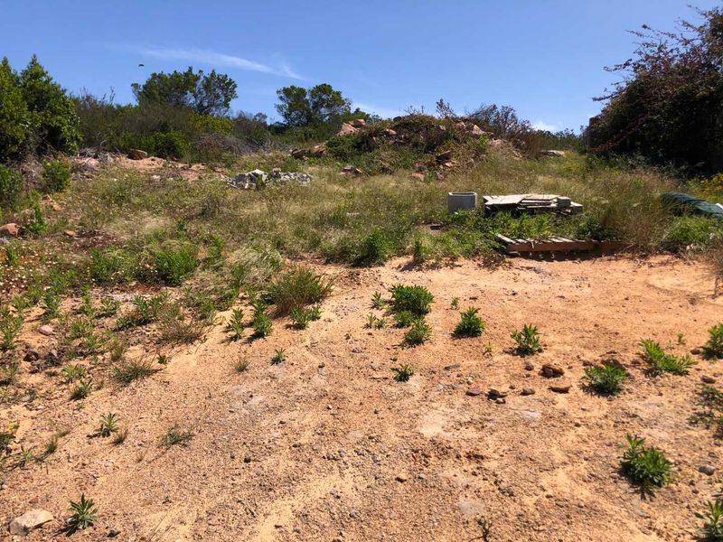 Prime Land with Distant Sea Views Awaits You! - Photo 2