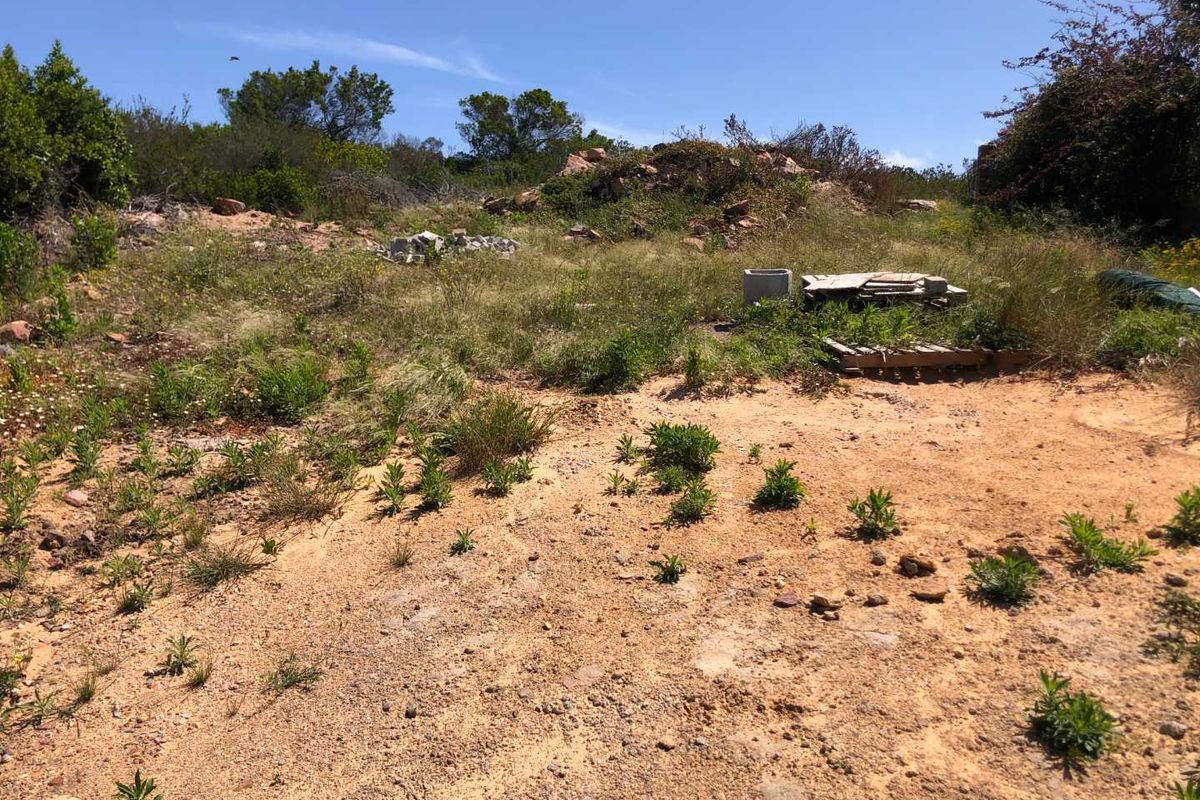 Prime Land with Distant Sea Views Awaits You! - Photo 2