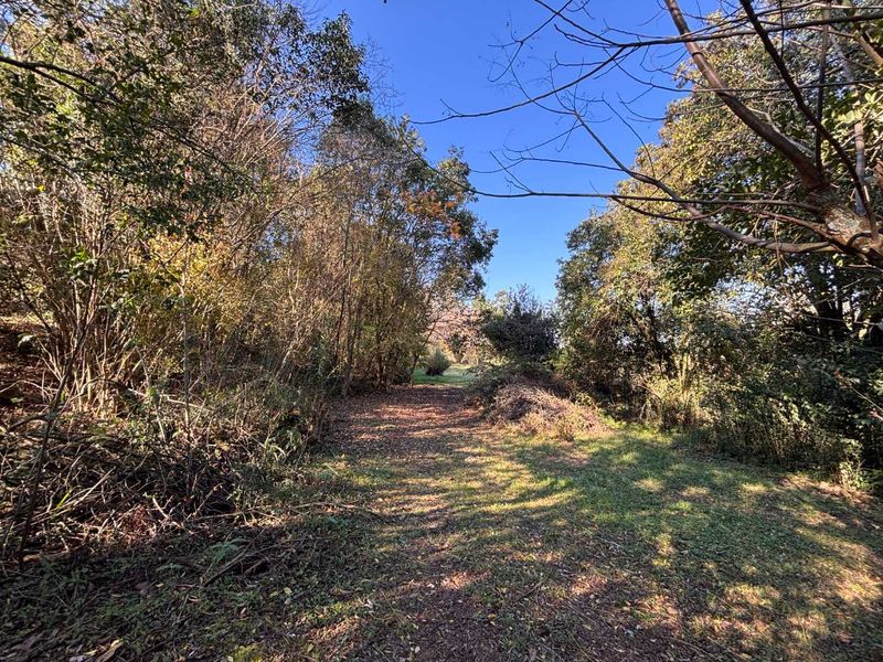 Prime Development Land for Sale in Howick - 17471m2 with Exceptional Exposure - Photo 10