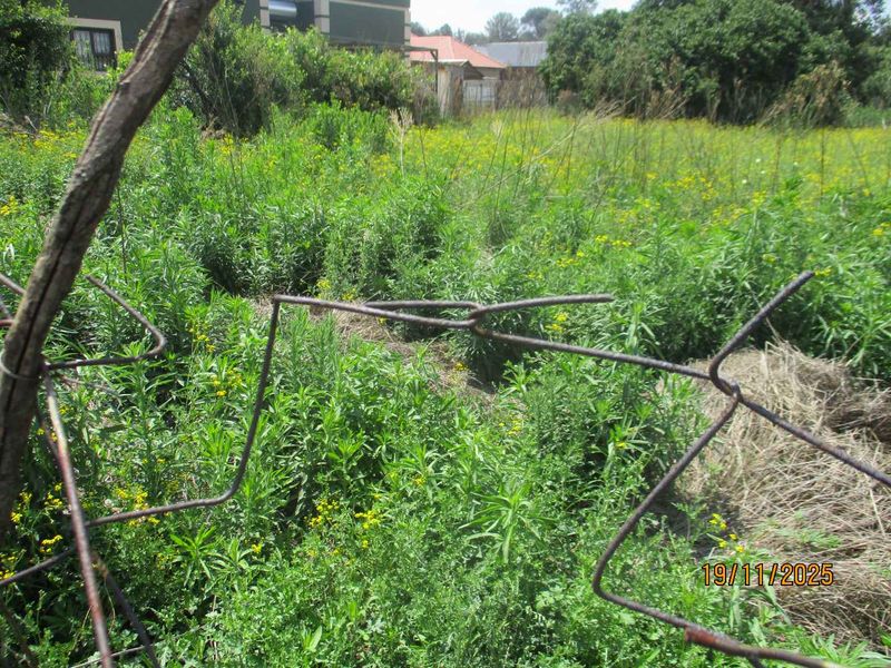 A view of a vacant residential plot featuring overgrown vegetation and damaged wire fencing.