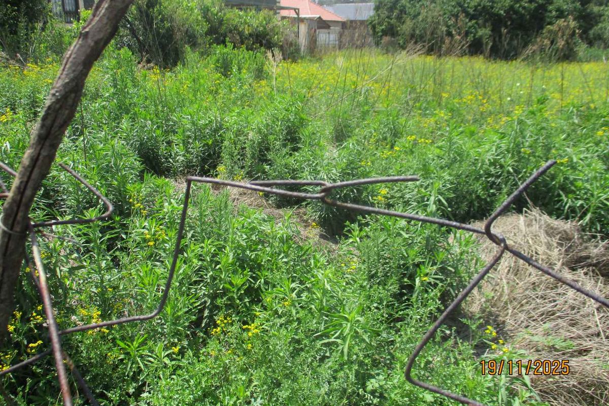 A view of a vacant residential plot featuring overgrown vegetation and damaged wire fencing.