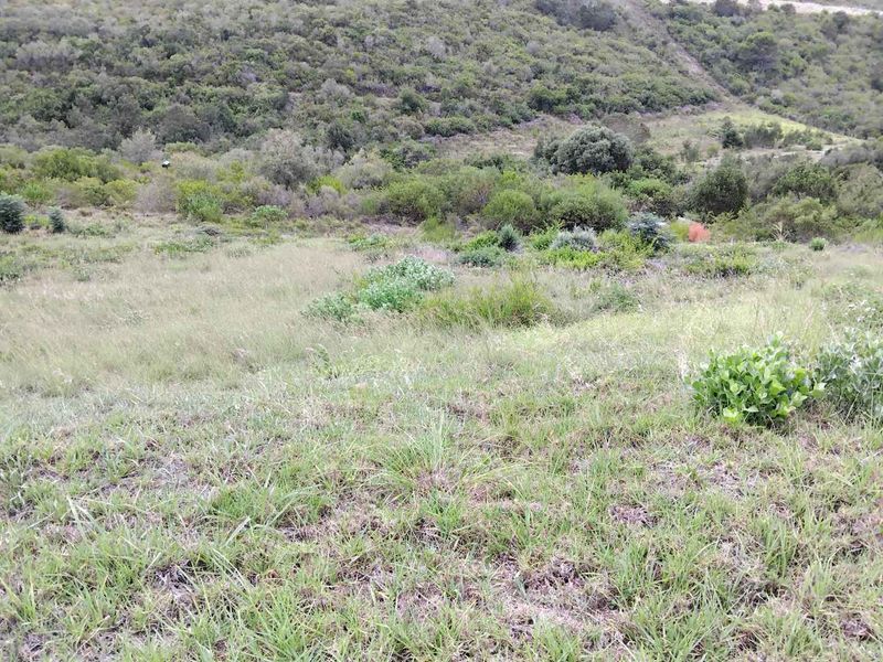 Prime North-Facing Vacant Land in Prestigious Estate** - Photo 6