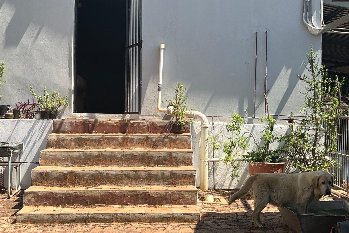 Exterior view of a rear entrance featuring concrete steps leading to a doorway, with visible exterior plumbing and paved ground area.