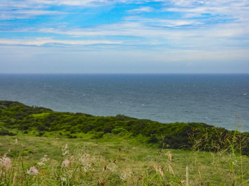 Seaton Charming Empty Stand - Photo 3