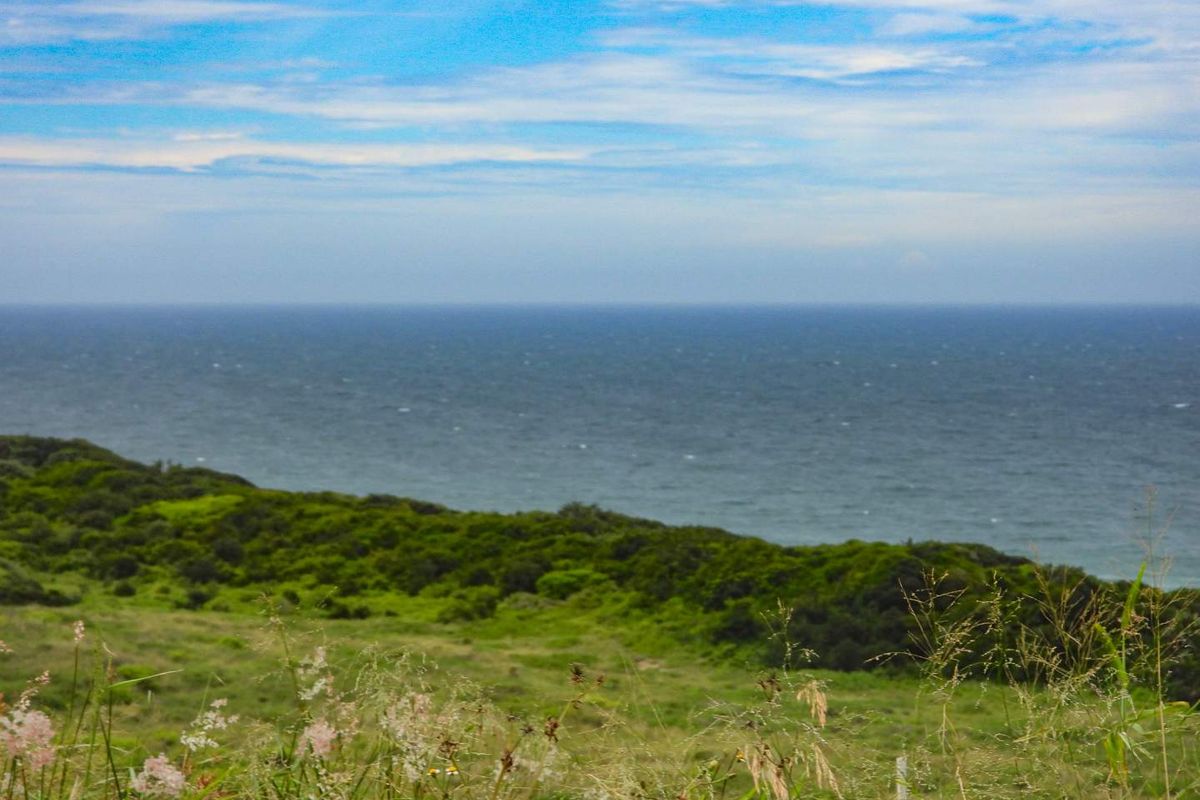 Seaton Charming Empty Stand - Photo 3