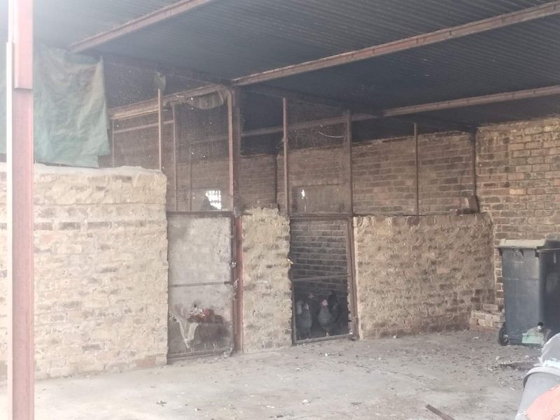 A rustic utility structure featuring brick walls, wire mesh enclosures, and a corrugated metal roof, suitable for farm storage or livestock housing.