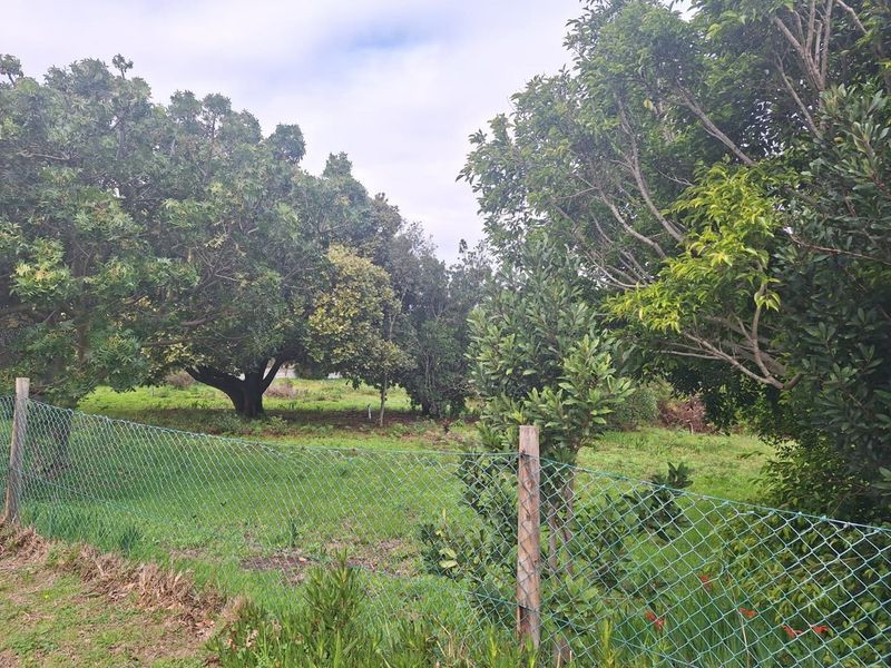 Spacious 2180m2 Plot with Mountain Views in the Mountain Avenues of Kleinmond. - Photo 3