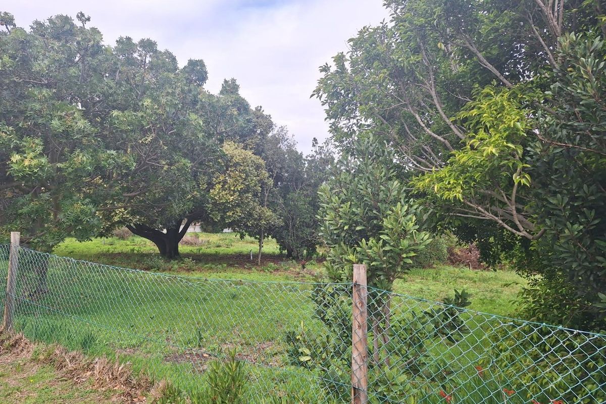 Spacious 2180m2 Plot with Mountain Views in the Mountain Avenues of Kleinmond. - Photo 3