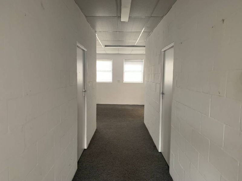 A functional hallway featuring painted blockwork walls, carpeted flooring, and a suspended ceiling with integrated lighting, leading to an open office space.