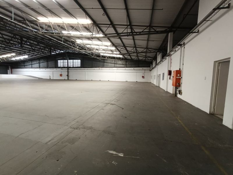 2875m2 - Warehouse, Yard 744m2 - Photo 8