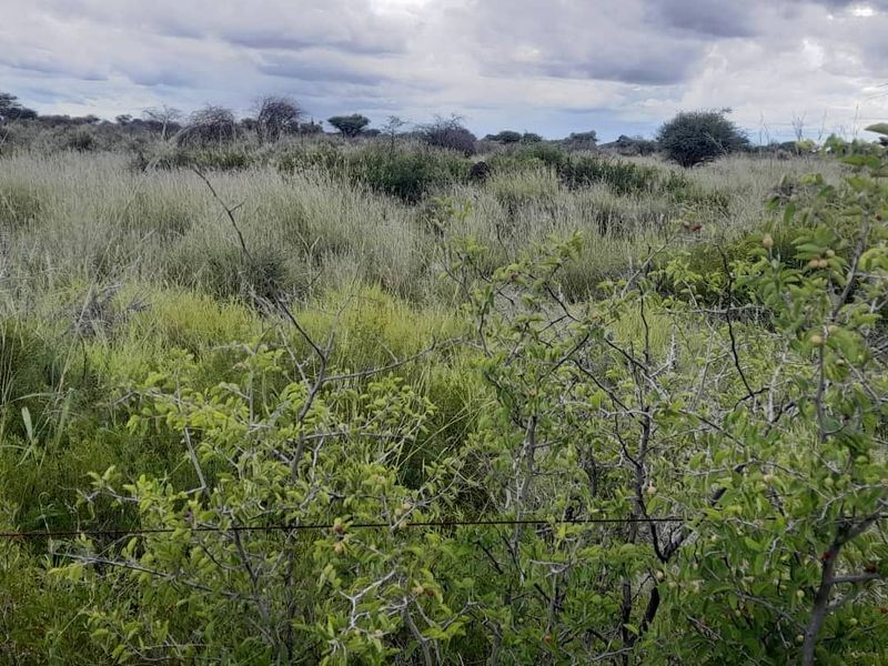 "Exceptional Farm for sale: Livestock, game & Luxury Living Combined - Photo 10