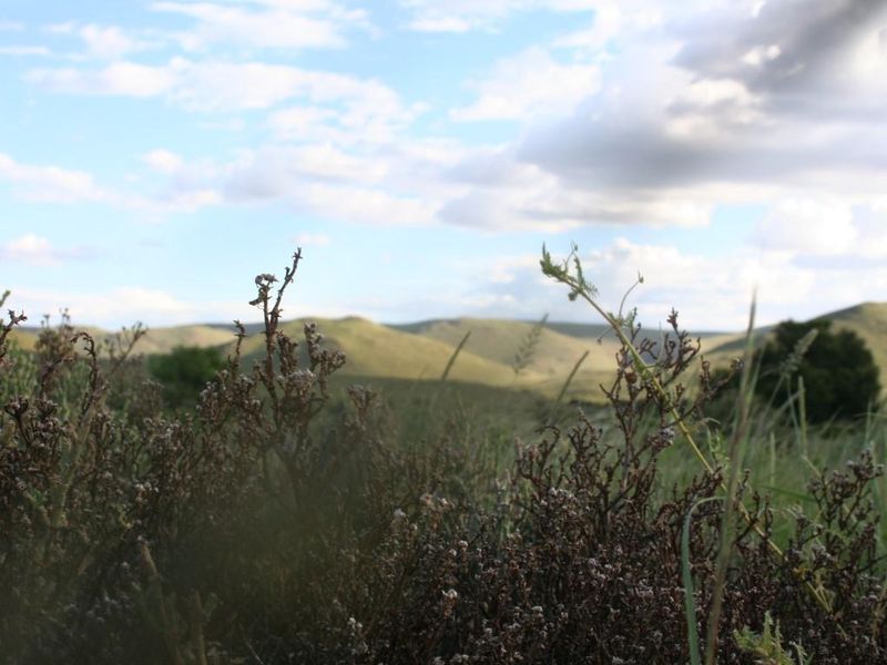 FARM not far from HELMERINGHAUSEN - Photo 8