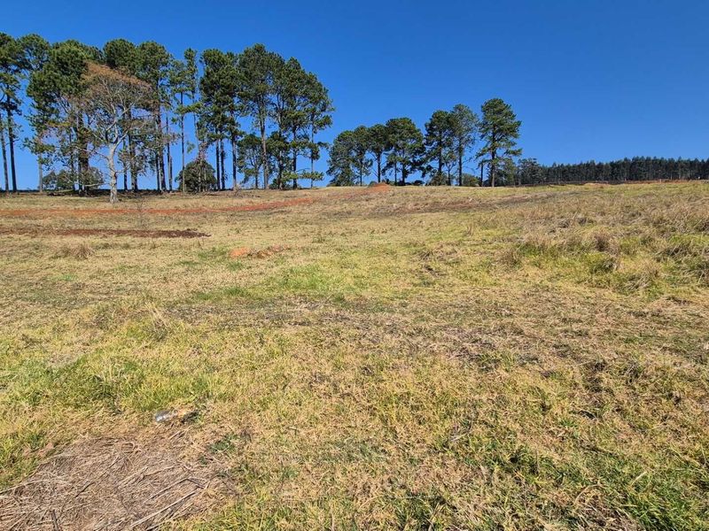 Vacant Land for Sale – St John’s Village,Howick - Photo 3