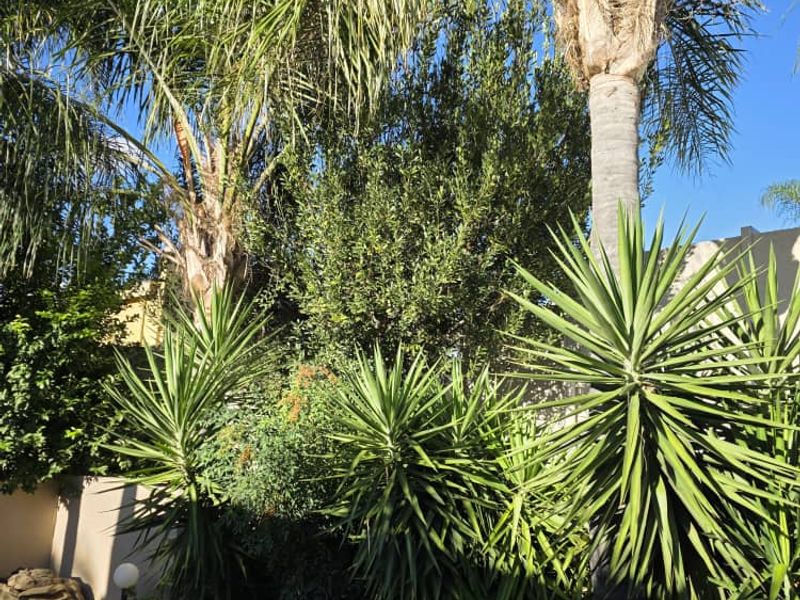 Stunning house at Windhoek Country Club - Photo 2