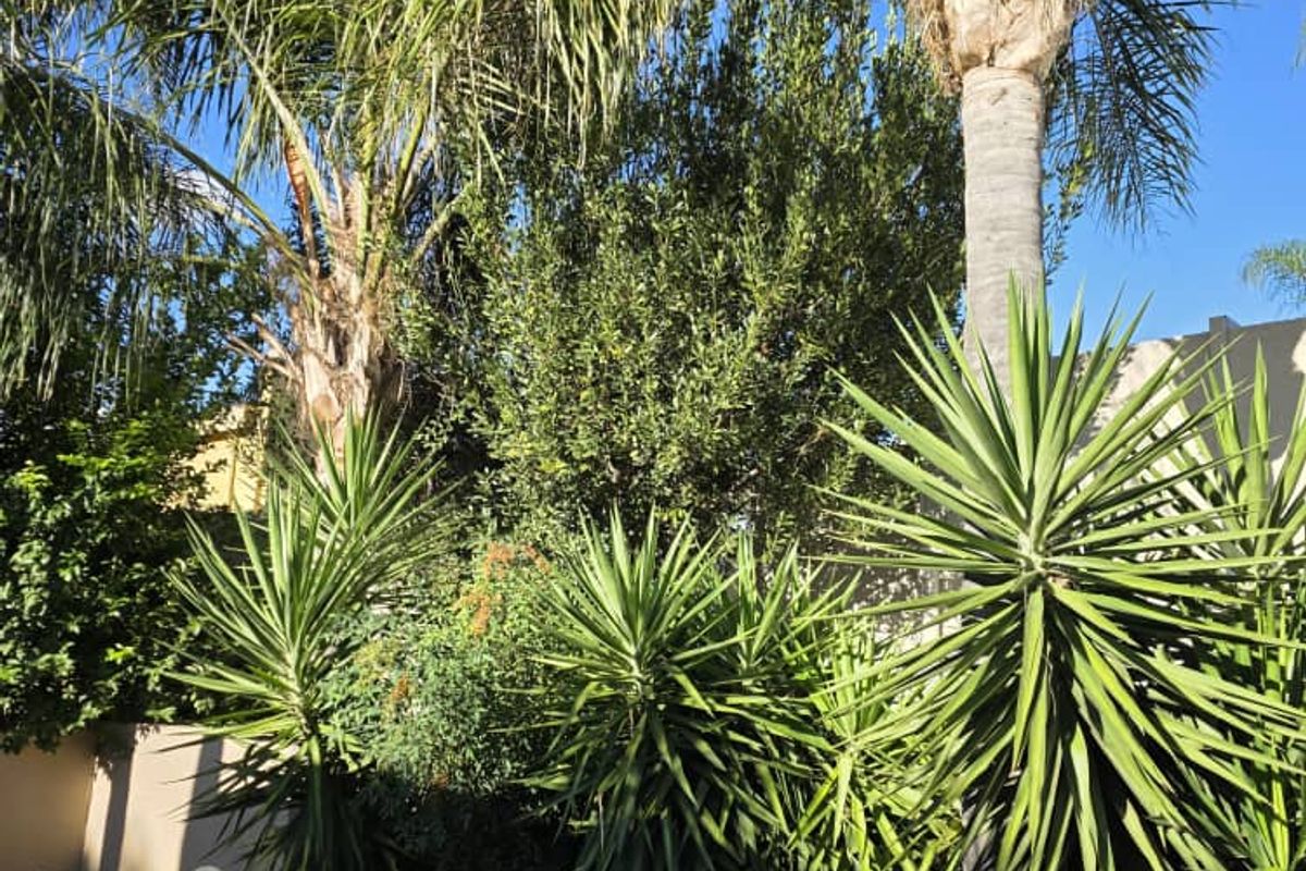 Stunning house at Windhoek Country Club - Photo 2