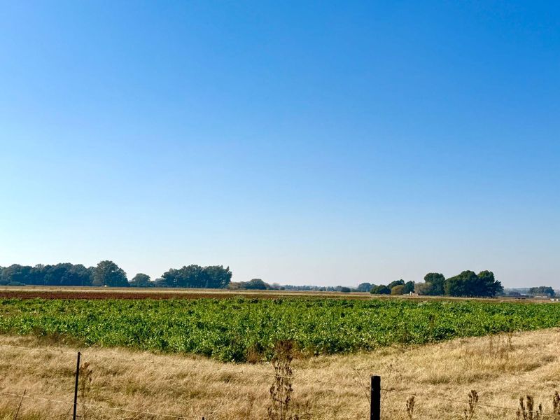 21-Hectare Farm with Water Rights – Just 11km from Langenhovenpark - Photo 2