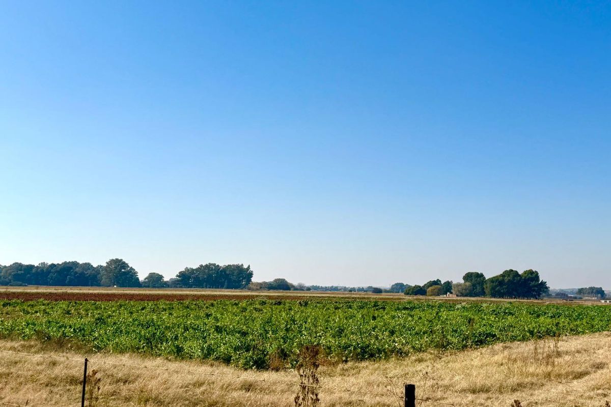 21-Hectare Farm with Water Rights – Just 11km from Langenhovenpark - Photo 2