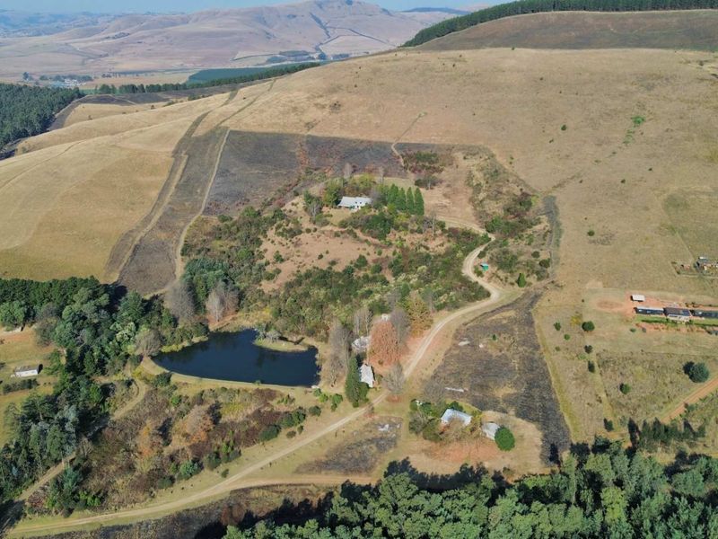 Exceptional Lifestyle Farm with Established Accommodation Business in Dargle - Photo 3