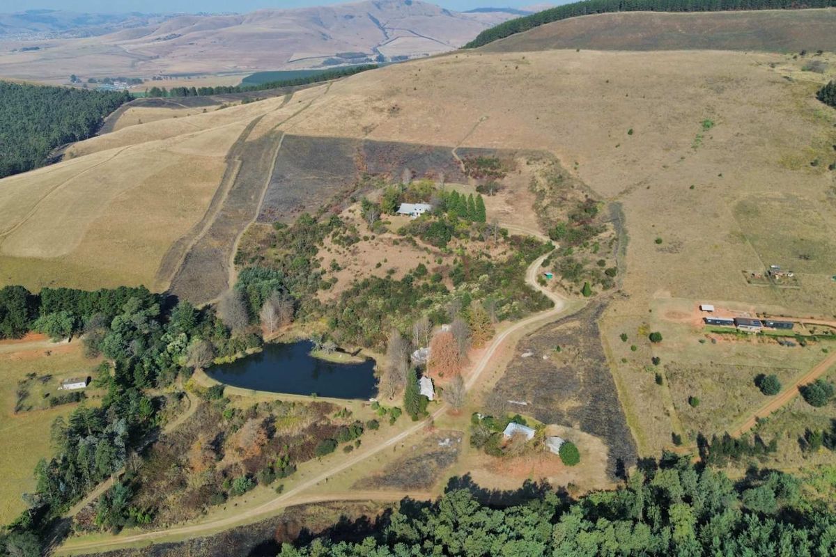 Exceptional Lifestyle Farm with Established Accommodation Business in Dargle - Photo 3
