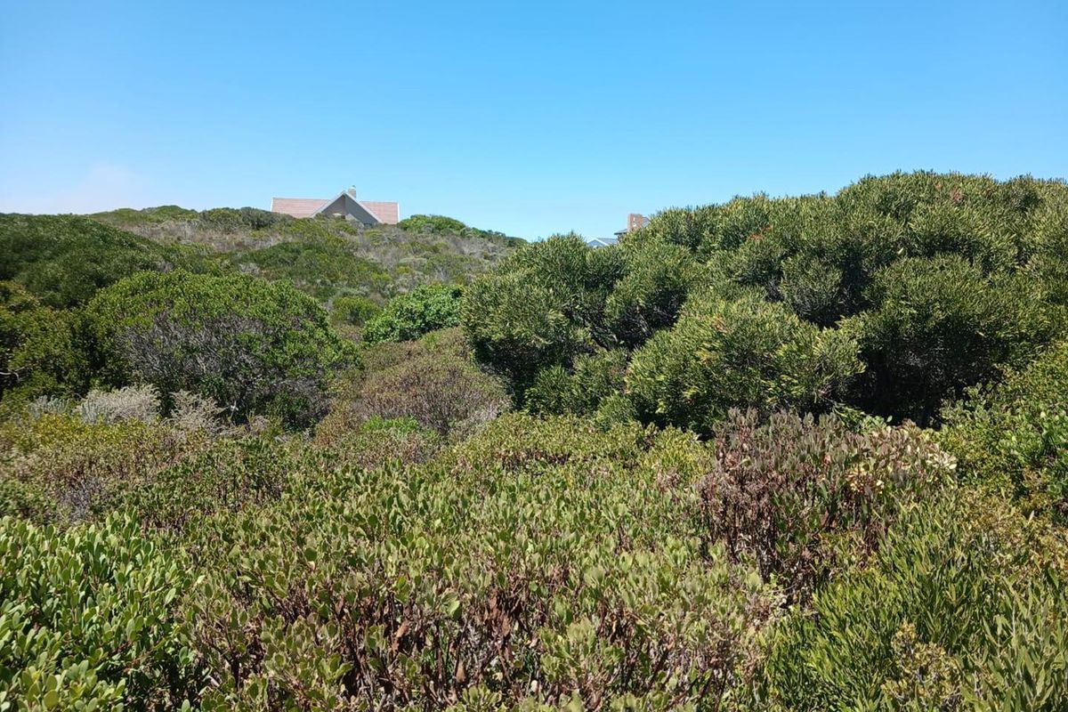 Vacant land - stunning mountain views - Photo 5