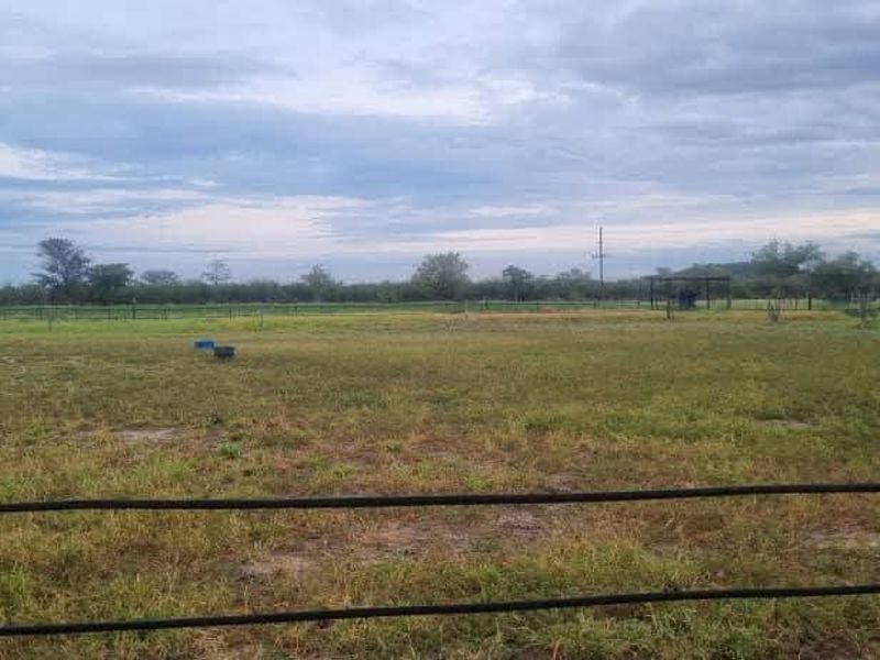 Walk in and produce in a friendly farm environment. - Photo 4