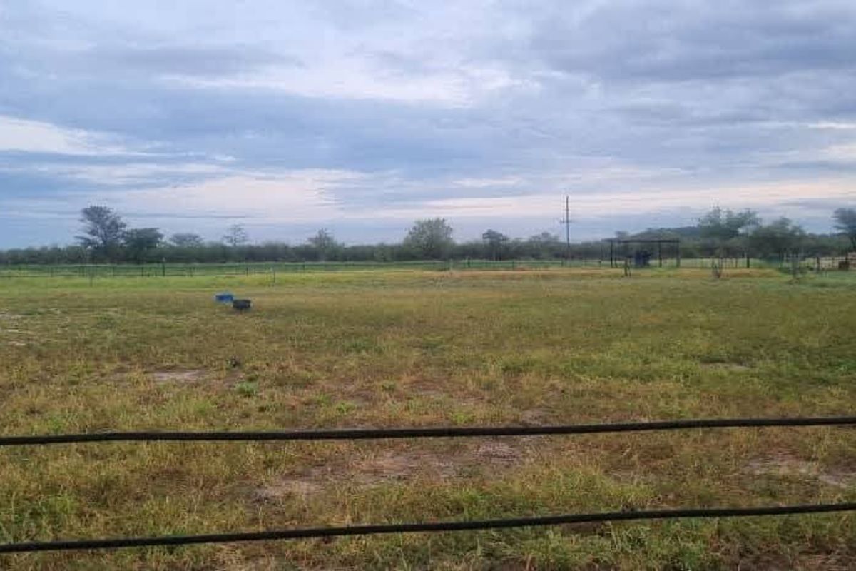 Walk in and produce in a friendly farm environment. - Photo 4