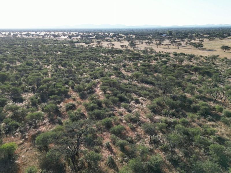 Farm for Sale - Otavi Region - Photo 2