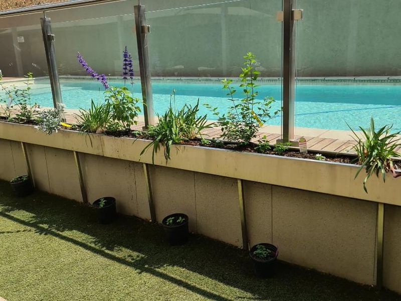 LUXURIOUS DESIGNER STUDIO APARTMENT IN THE ICONIC SANDTON SKYE - Photo 3