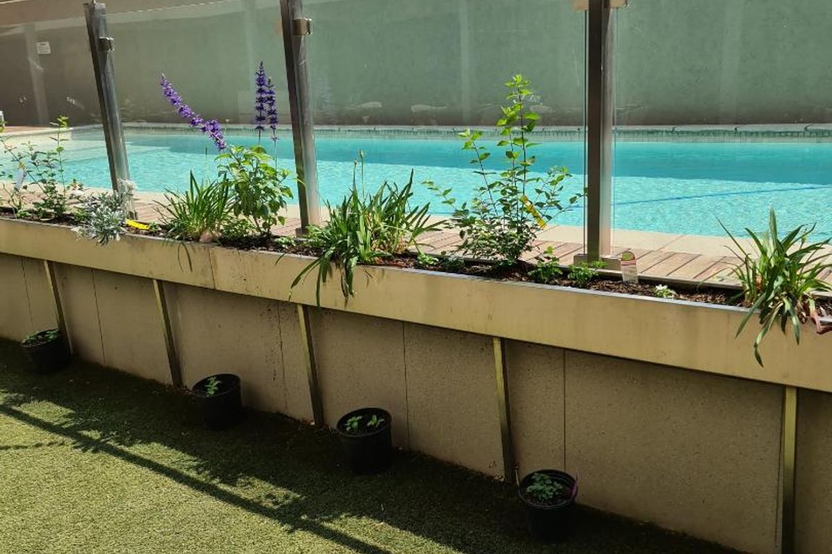 LUXURIOUS DESIGNER STUDIO APARTMENT IN THE ICONIC SANDTON SKYE - Photo 3