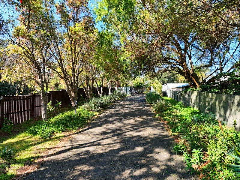 A private asphalt driveway lined with mature trees, established garden beds, and secure perimeter fencing leading towards the property entrance.