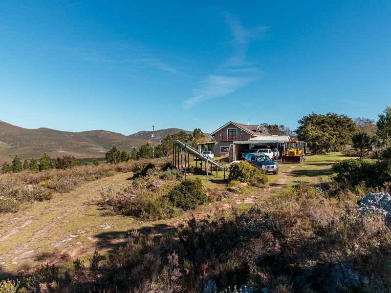 Set within an unspoiled landscape of indigenous Fynbos, this exceptional lifestyle farm... - Photo 7