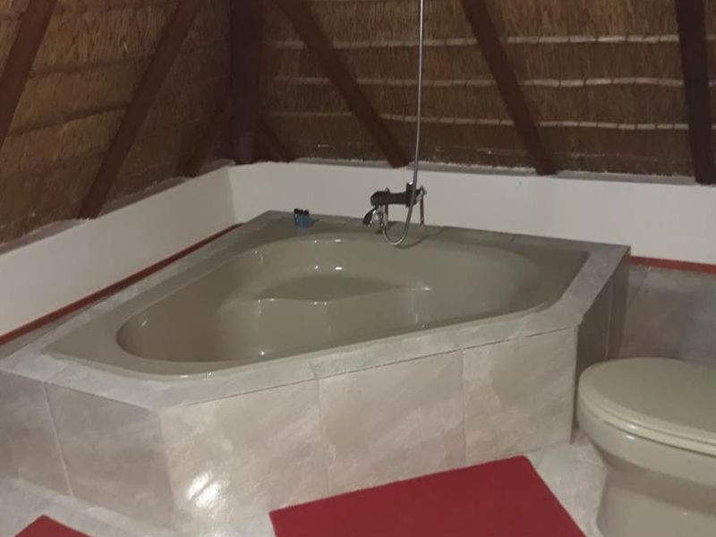 Well established Bed and Breakfast in Elandsfontein - Photo 7