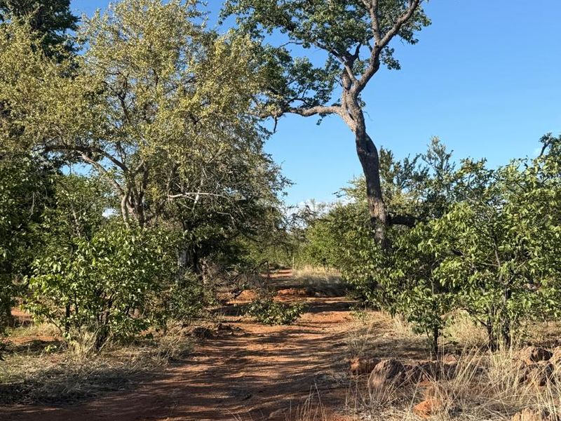 GAME FARM FOR SALE - KAMANJAB - Photo 4