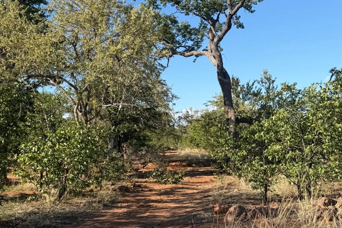 GAME FARM FOR SALE - KAMANJAB - Photo 4