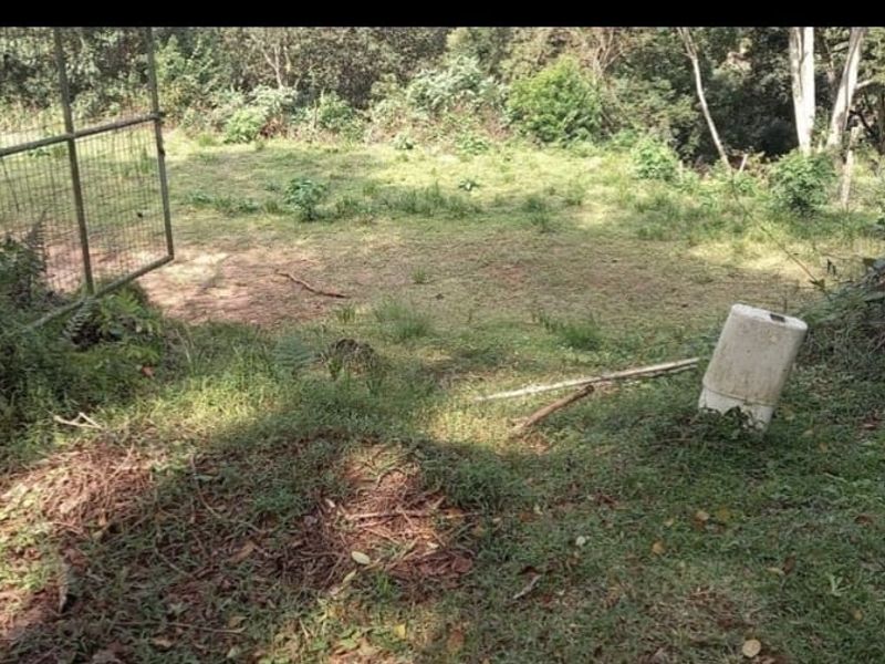 Stunning Vacant Land in Prime Hillcrest Location - Photo 8