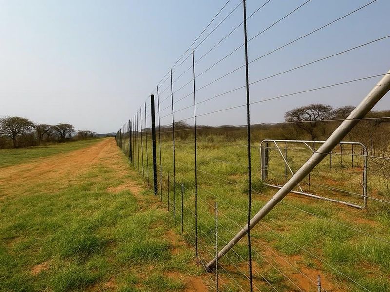 Prime 1,000ha Farm — Otjiwarongo (inside town area) - Photo 2
