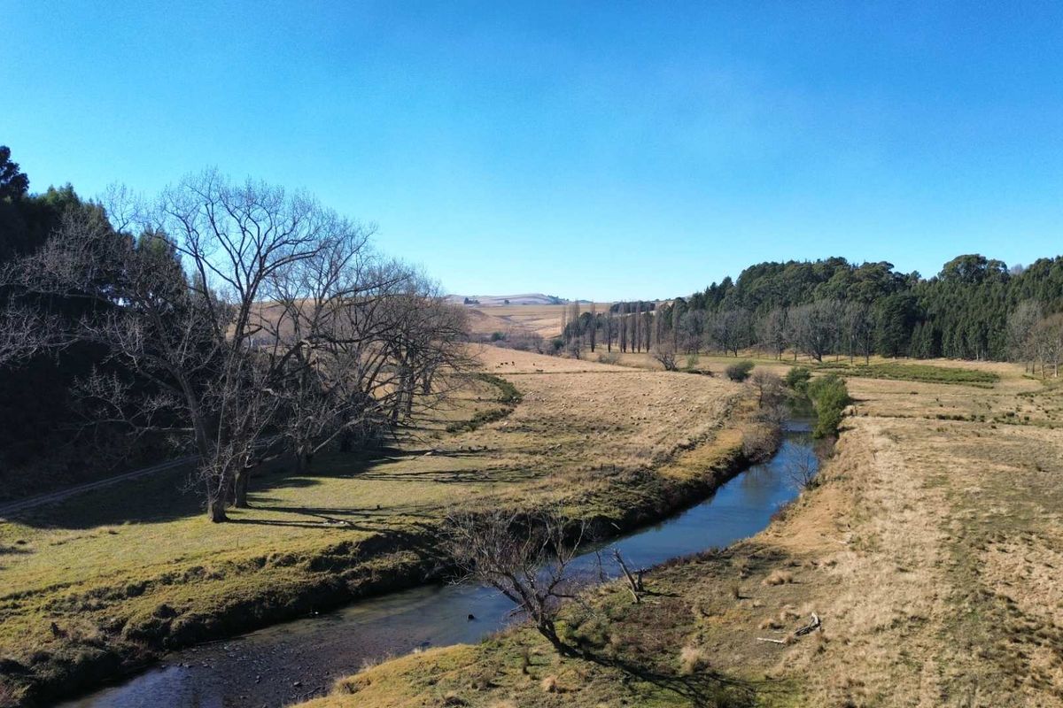 An aerial view of the expansive farm landscape featuring a natural river flowing through open grazing fields and mature trees.