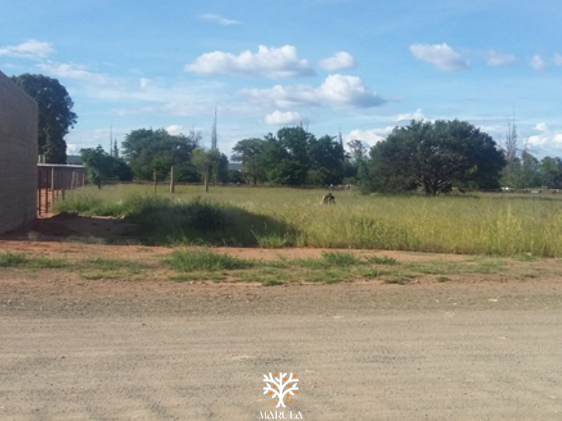 PRIME INVESTMENT OPPORTUNITY IN GOBABIS - Photo 3