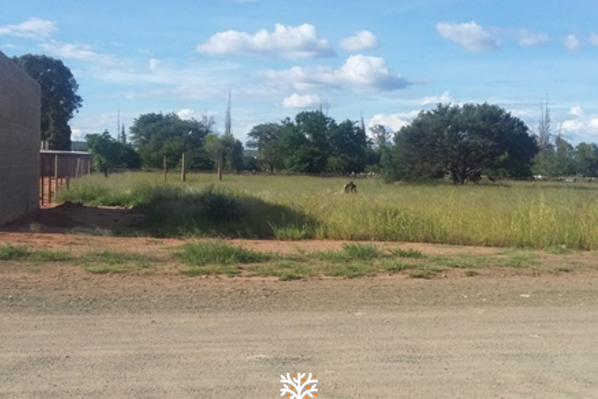 PRIME INVESTMENT OPPORTUNITY IN GOBABIS - Photo 3