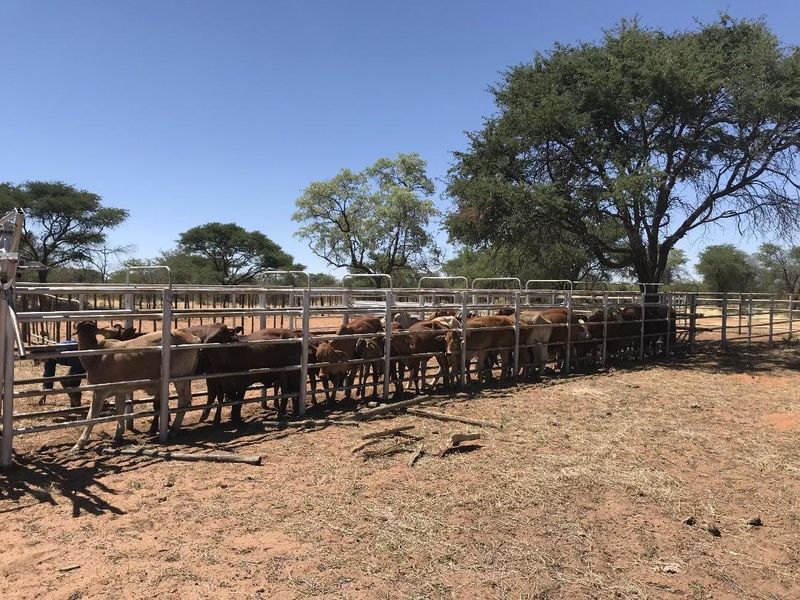 Exceptional Opportunity to Own a Well-Developed ±2,400 ha Large Stock Farm in the Sought-After Gobabis District. - Photo 9