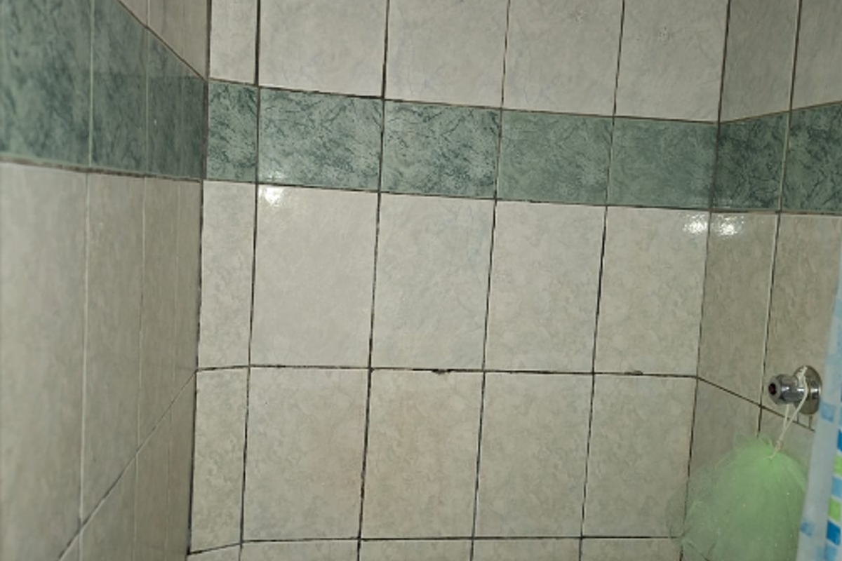 A dated shower enclosure featuring ceramic wall tiles with a decorative border and a standard shower head fixture.